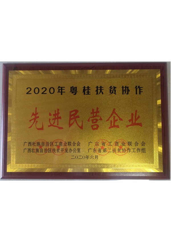 先進(jìn)民營(yíng)企業(yè)-2020粵桂扶貧協(xié)作